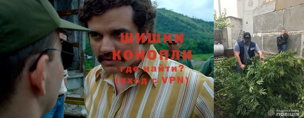 прущая мука Белокуриха